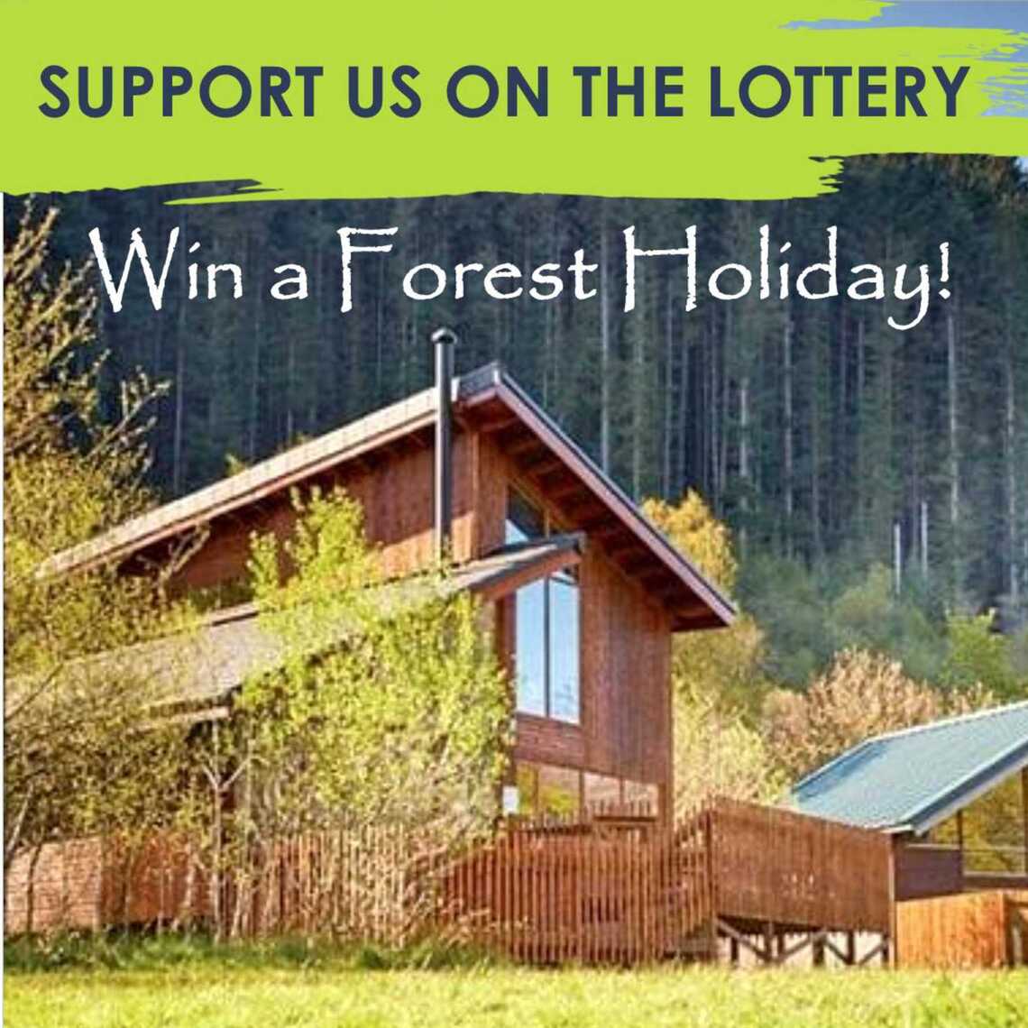 forest holiday