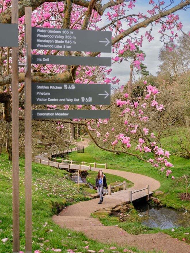 wakehurst blossom